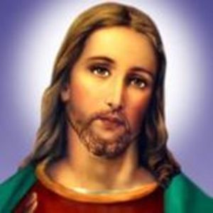 Meet your Posher, Sheeba